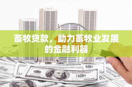 安陆畜牧贷款，助力畜牧业发展的金融利器