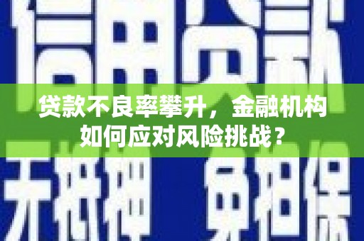 安陆贷款不良率攀升，金融机构如何应对风险挑战？