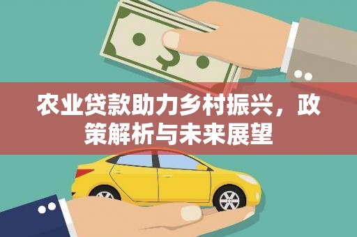 安陆农业贷款助力乡村振兴，政策解析与未来展望