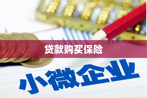 安陆贷款购买保险