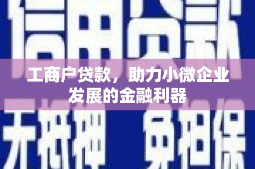 安陆工商户贷款，助力小微企业发展的金融利器