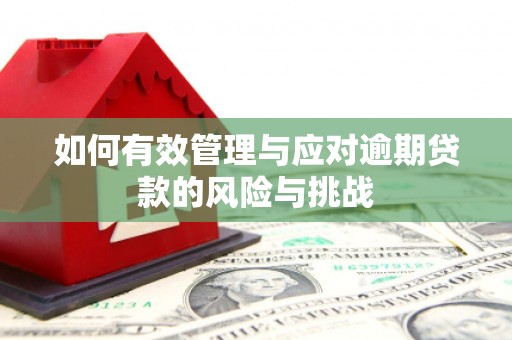 安陆如何有效管理与应对逾期贷款的风险与挑战