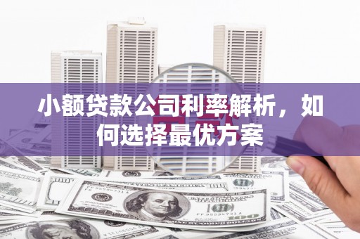 安陆小额贷款公司利率解析，如何选择最优方案