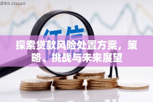 安陆探索贷款风险处置方案，策略、挑战与未来展望