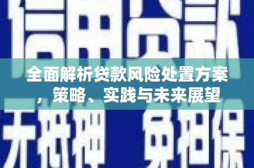 安陆全面解析贷款风险处置方案，策略、实践与未来展望