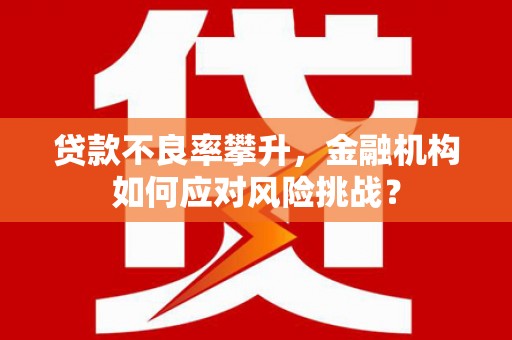 安陆贷款不良率攀升，金融机构如何应对风险挑战？