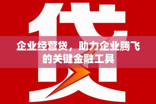 安陆企业经营贷，助力企业腾飞的关键金融工具
