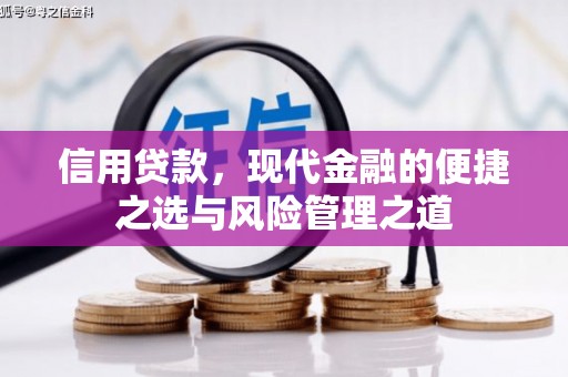 安陆信用贷款，现代金融的便捷之选与风险管理之道