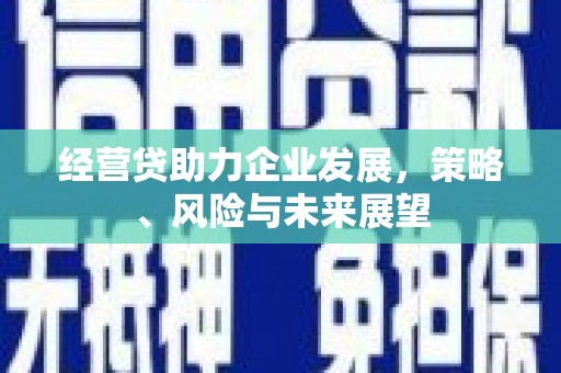 安陆经营贷助力企业发展，策略、风险与未来展望