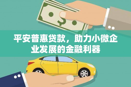 安陆平安普惠贷款，助力小微企业发展的金融利器