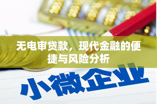 安陆无电审贷款，现代金融的便捷与风险分析