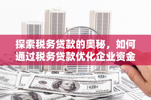 安陆探索税务贷款的奥秘，如何通过税务贷款优化企业资金流
