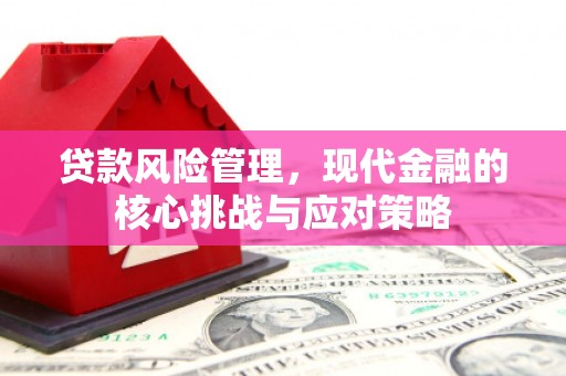 安陆贷款风险管理，现代金融的核心挑战与应对策略