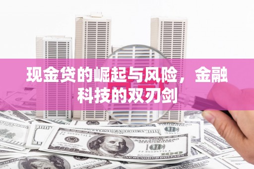 安陆现金贷的崛起与风险，金融科技的双刃剑