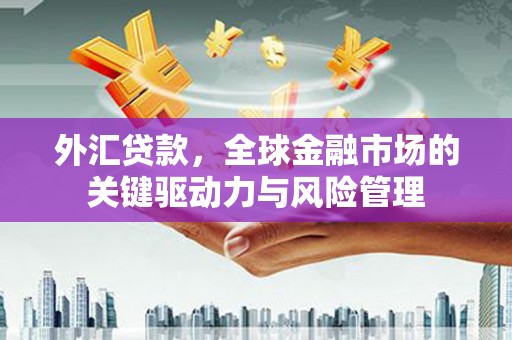 安陆外汇贷款，全球金融市场的关键驱动力与风险管理