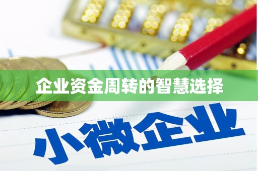 安陆企业资金周转的智慧选择