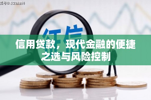 安陆信用贷款，现代金融的便捷之选与风险控制