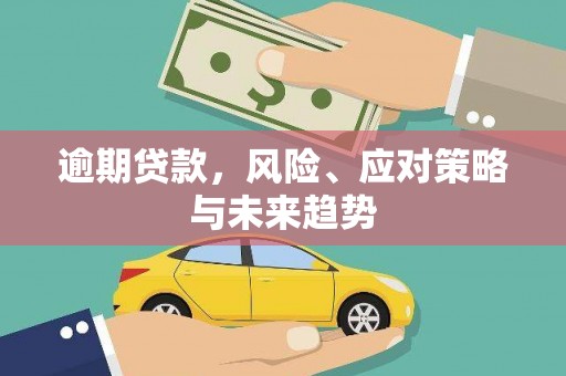安陆逾期贷款，风险、应对策略与未来趋势