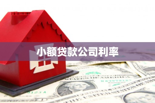 安陆小额贷款公司利率