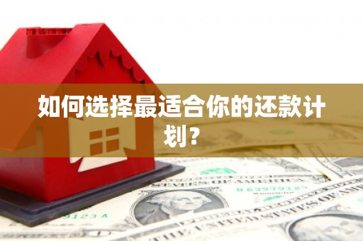 安陆如何选择最适合你的还款计划？