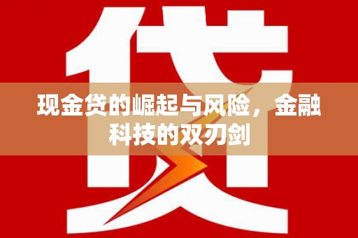 安陆现金贷的崛起与风险，金融科技的双刃剑