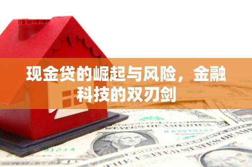 安陆现金贷的崛起与风险，金融科技的双刃剑