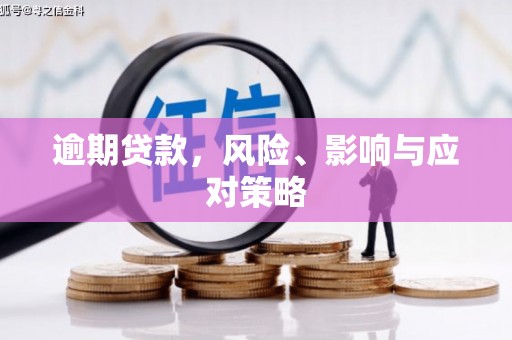 安陆逾期贷款，风险、影响与应对策略