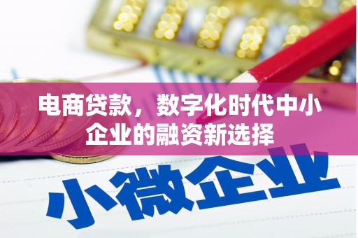 安陆电商贷款，数字化时代中小企业的融资新选择