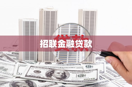 安陆招联金融贷款