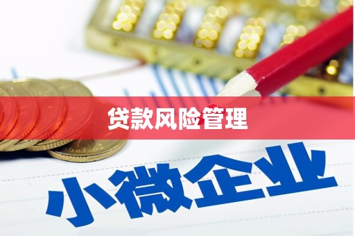 安陆贷款风险管理