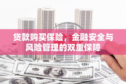 安陆贷款购买保险，金融安全与风险管理的双重保障