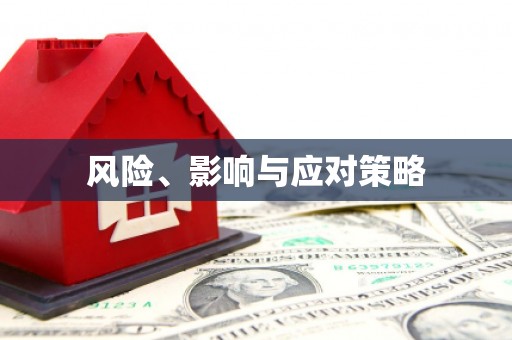 安陆风险、影响与应对策略
