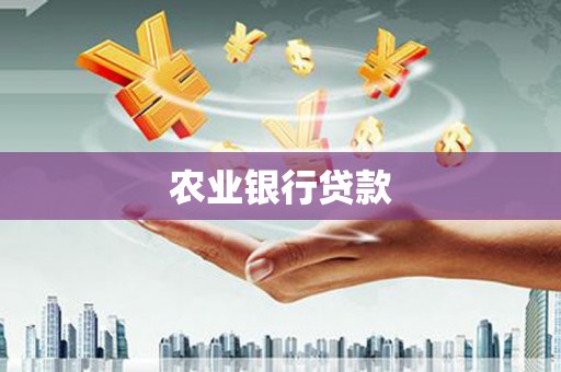 安陆农业银行贷款