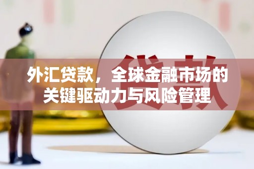 安陆外汇贷款，全球金融市场的关键驱动力与风险管理