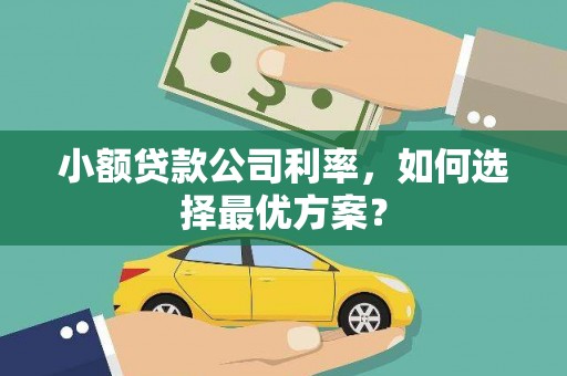 安陆小额贷款公司利率，如何选择最优方案？