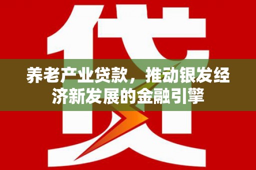 安陆养老产业贷款，推动银发经济新发展的金融引擎