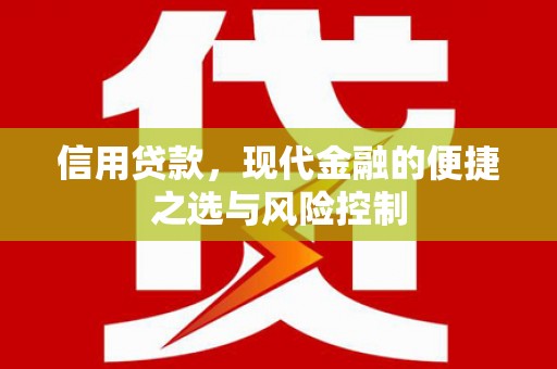 安陆信用贷款，现代金融的便捷之选与风险控制