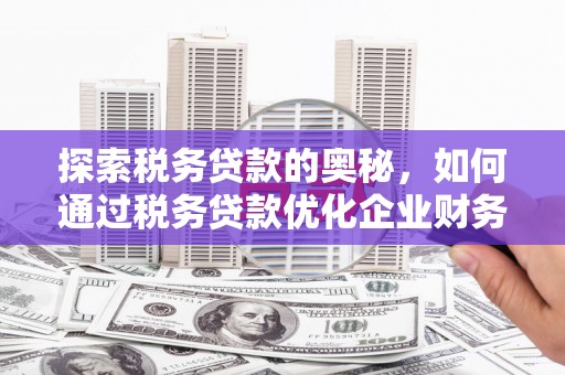 安陆探索税务贷款的奥秘，如何通过税务贷款优化企业财务