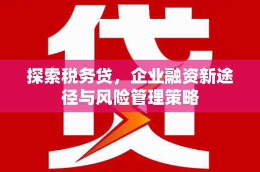 安陆探索税务贷，企业融资新途径与风险管理策略