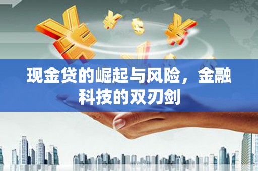 安陆现金贷的崛起与风险，金融科技的双刃剑
