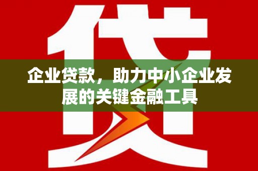 安陆企业贷款，助力中小企业发展的关键金融工具