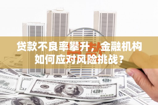 安陆贷款不良率攀升，金融机构如何应对风险挑战？