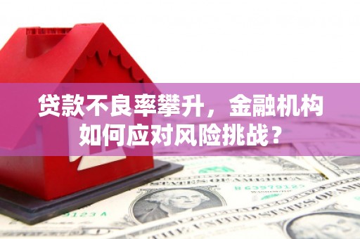 安陆贷款不良率攀升，金融机构如何应对风险挑战？