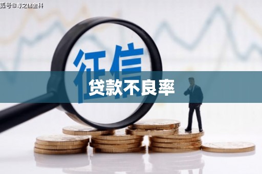 安陆贷款不良率
