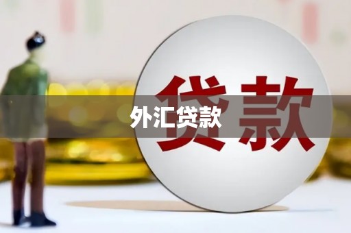 安陆外汇贷款