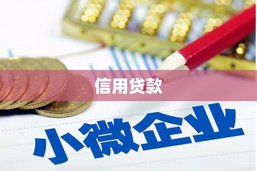 安陆信用贷款