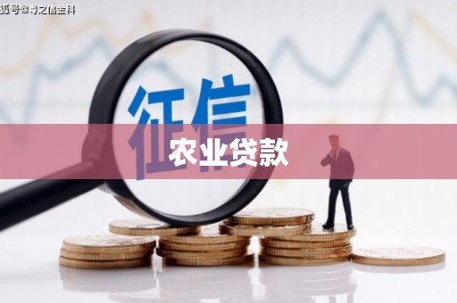 安陆农业贷款