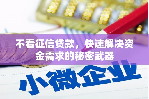 安陆不看征信贷款，快速解决资金需求的秘密武器