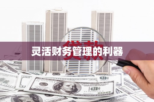 安陆灵活财务管理的利器