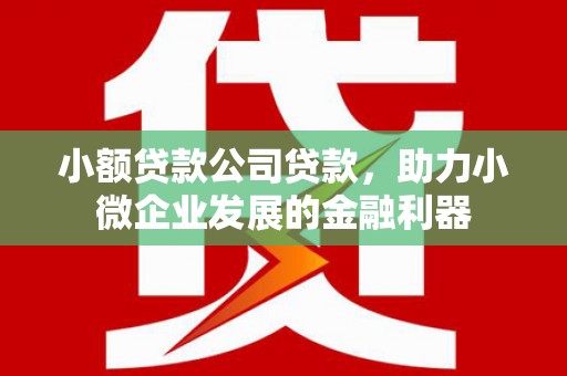 安陆小额贷款公司贷款，助力小微企业发展的金融利器